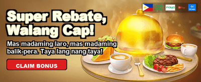 Fast Payouts and Bonuses banner image